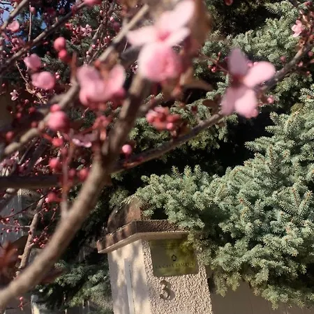 La Casa Tamaris Senta