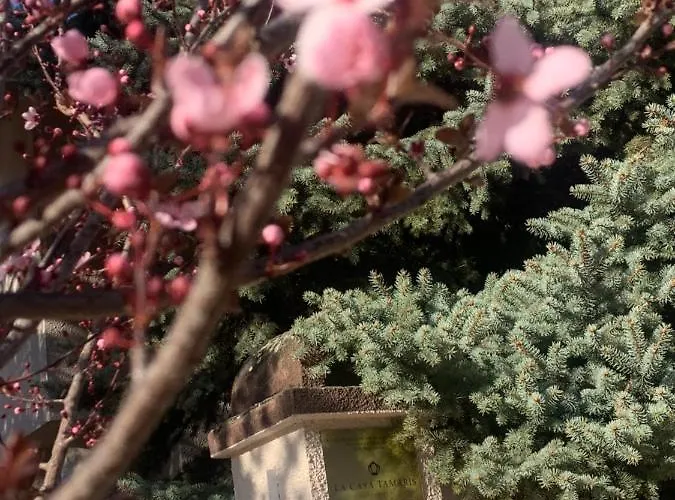 La Casa Tamaris Senta